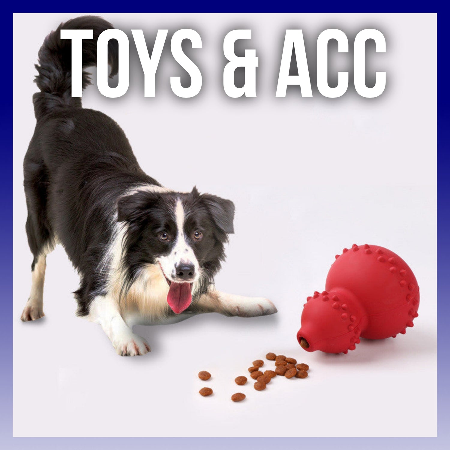 Toys & Acc