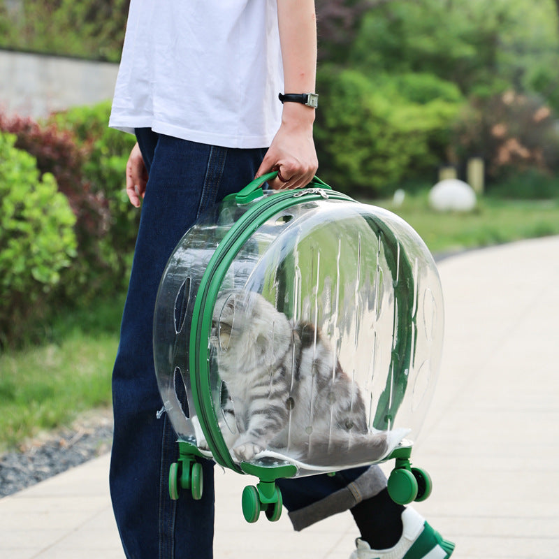 Portable Transparent Trolley Case