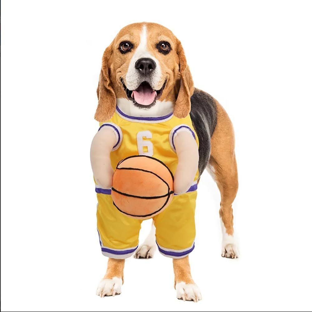 Basketball Costume With Ball
