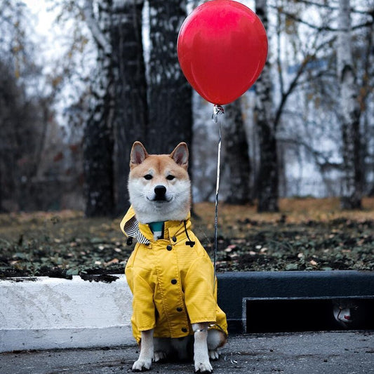 Raincoat Pet Clothes