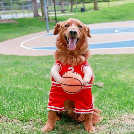 Basketball Costume With Ball