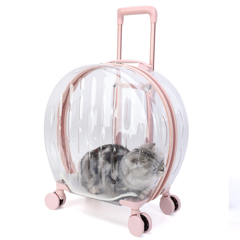 Portable Transparent Trolley Case