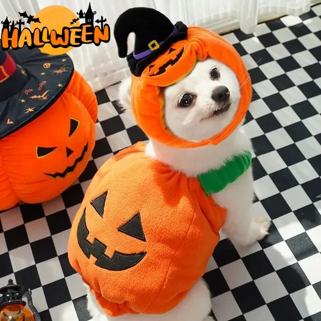 Halloween Pumpkin Vest