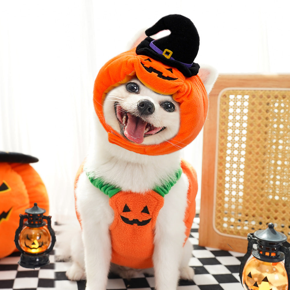 Halloween Pumpkin Vest