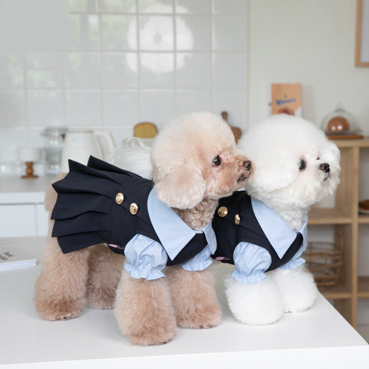 Fashionable Warm Cute Teddy