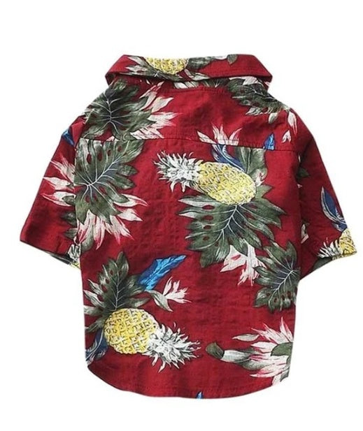 Hawaiian style shirt