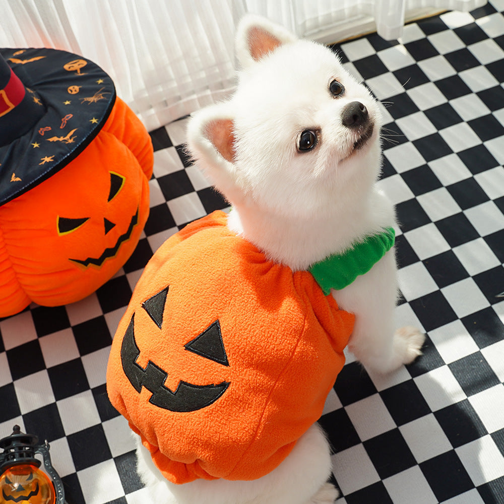 Halloween Pumpkin Vest
