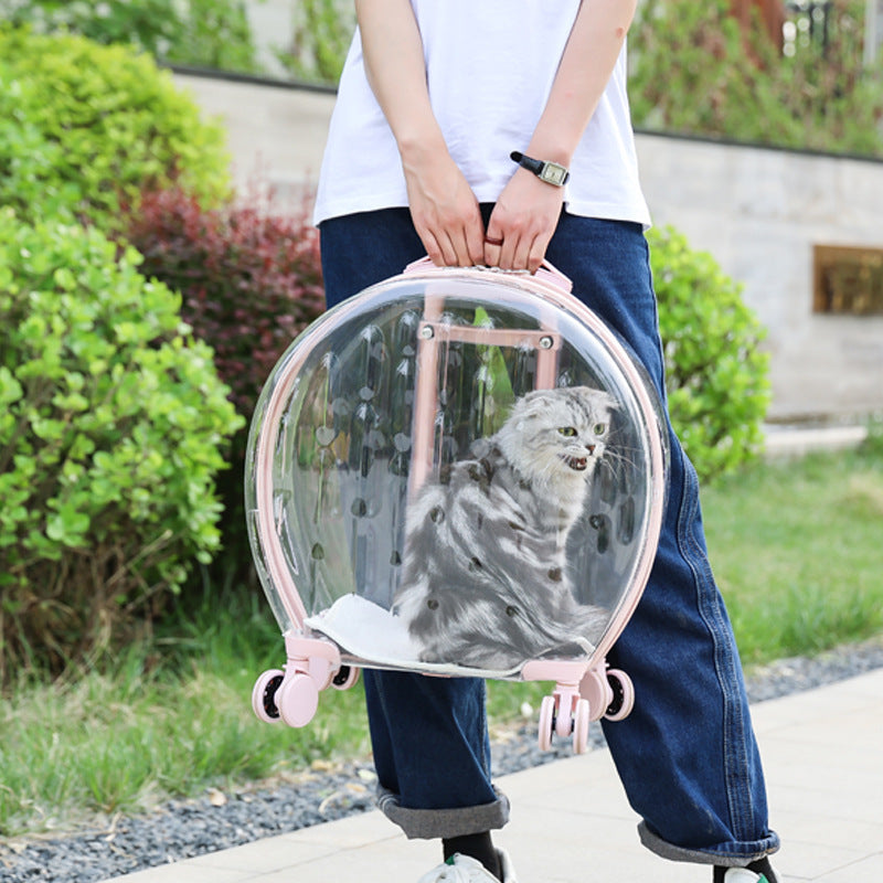 Portable Transparent Trolley Case