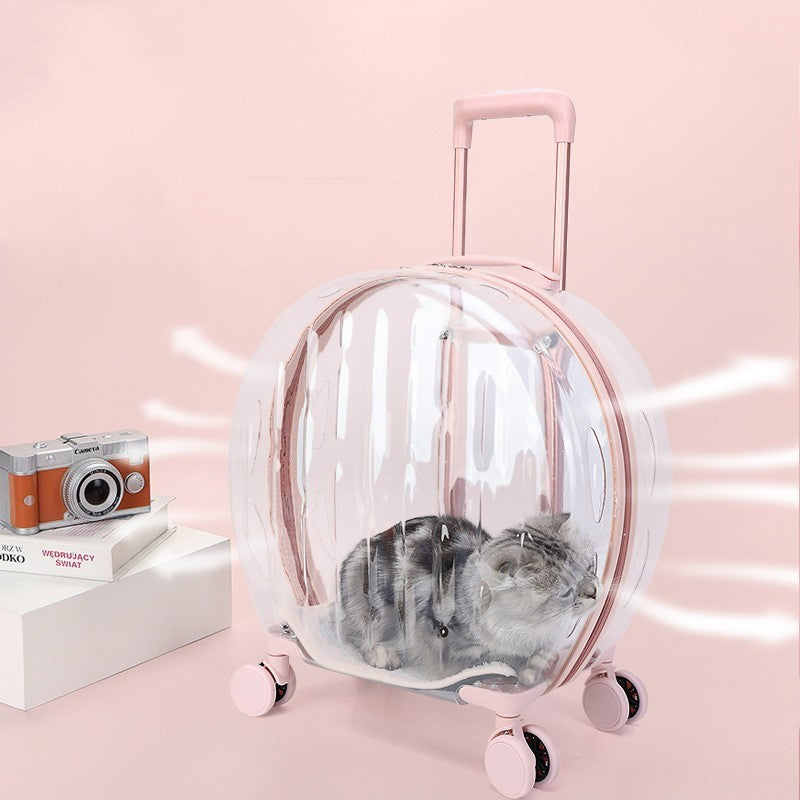 Portable Transparent Trolley Case